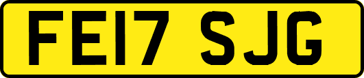 FE17SJG