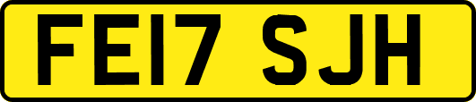 FE17SJH