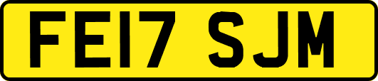 FE17SJM