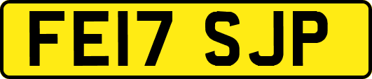 FE17SJP