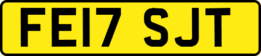 FE17SJT
