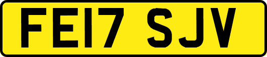 FE17SJV