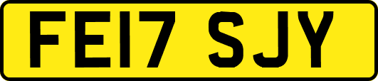 FE17SJY