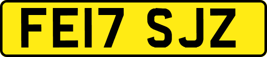 FE17SJZ