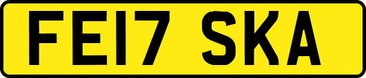 FE17SKA