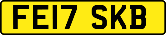 FE17SKB