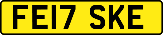 FE17SKE