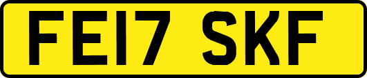 FE17SKF