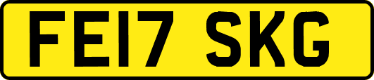 FE17SKG
