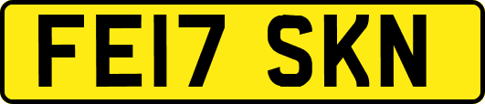 FE17SKN