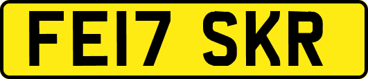 FE17SKR