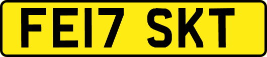 FE17SKT