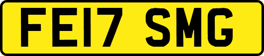 FE17SMG