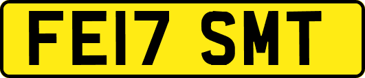 FE17SMT