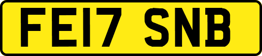 FE17SNB