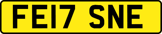 FE17SNE
