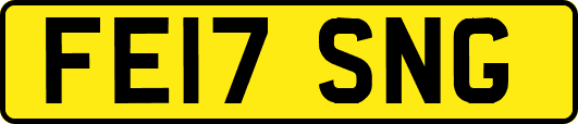 FE17SNG