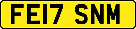 FE17SNM