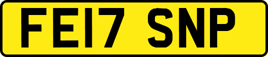 FE17SNP