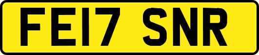 FE17SNR