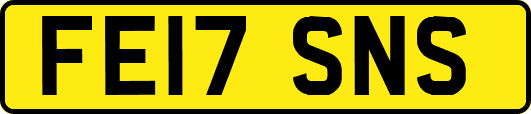 FE17SNS