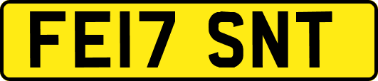FE17SNT