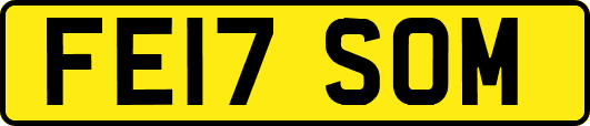 FE17SOM