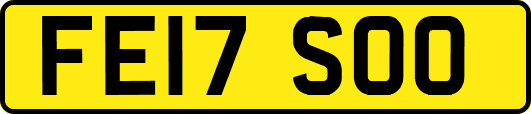 FE17SOO
