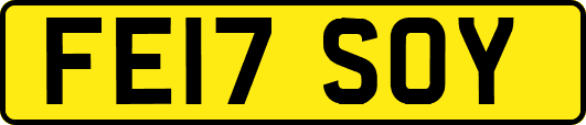 FE17SOY
