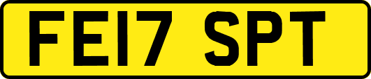 FE17SPT