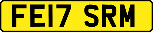 FE17SRM