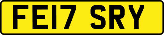 FE17SRY