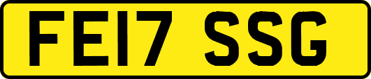 FE17SSG