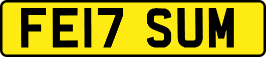 FE17SUM