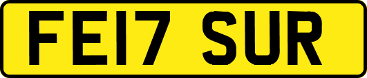 FE17SUR