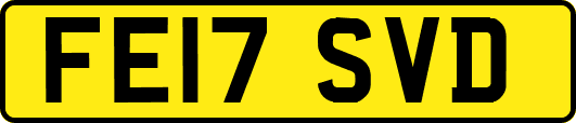 FE17SVD