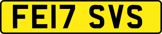 FE17SVS