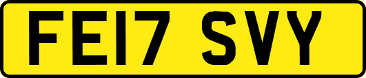 FE17SVY