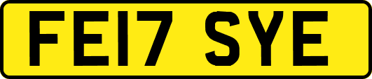 FE17SYE