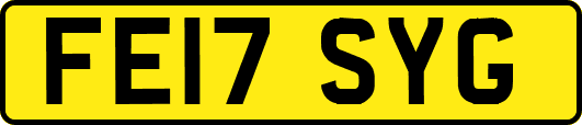 FE17SYG