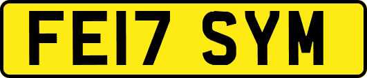 FE17SYM