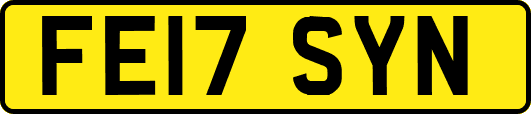 FE17SYN