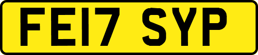 FE17SYP