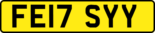 FE17SYY