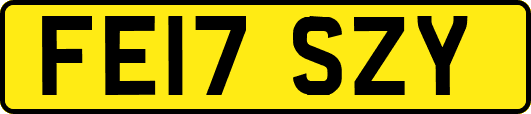 FE17SZY