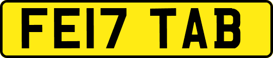 FE17TAB