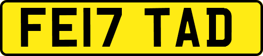 FE17TAD