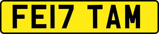 FE17TAM