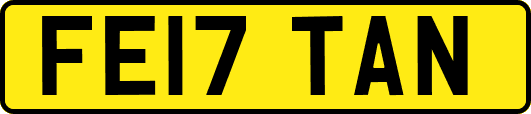 FE17TAN