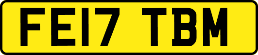 FE17TBM